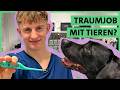 Challenge At The Vet JobChallenge Veterinary Assistant Training ARD
