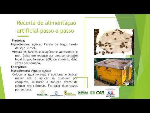 VÍDEO AULA 6 - Apicultura teoria : Alimentação artificial e demarré (6/6)