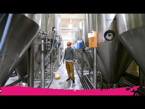 Bhutanese CRAFT BEER & FOOD Experience at Bhutanese Brewery | Paro, Bhutan