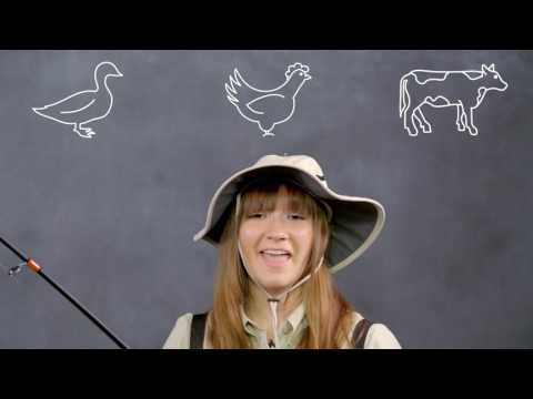 Blue Buffalo Wilderness Wild Rolls | Chewy