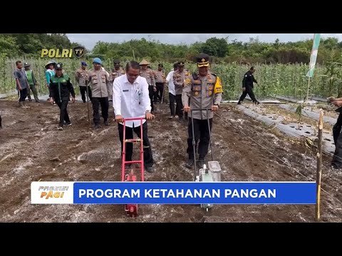POLRES KUTAI BARAT TANAM JAGUNG UNTUK KETAHANAN PANGAN