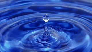 Mevlana'dan şiirler