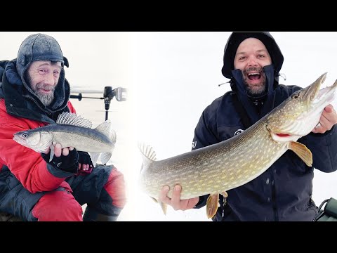 Kuhapilkillä syvissä vesissä ja ennätyshauki