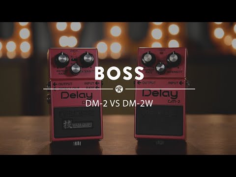 BOSS DM-2W Waza Craft Delay Reissue Bucket Brigade Analog Guitar Effects Pedal image 5