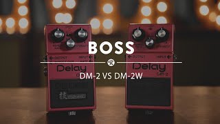 Video thumbnail for Boss DM-2 (Original) vs DM-2W Waza Craft Analog Delay by Reverb