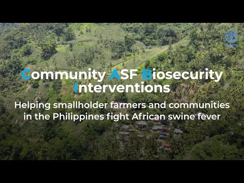 Community biosecurity against African swine fever: Supporting smallholder farmers combat ASF