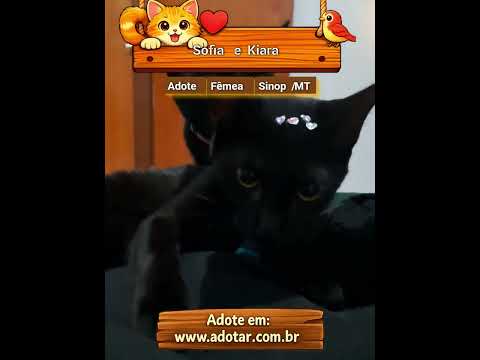 Vídeo de Sofia e Kiara