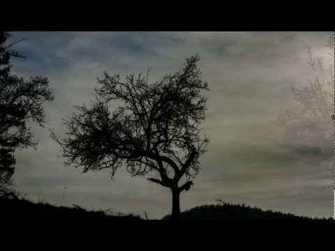 download lagu mp3 mp4 Despised And Rejected Of Men, download lagu Despised And Rejected Of Men gratis, unduh video klip Despised And Rejected Of Men