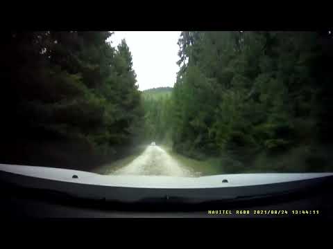 Cerna Sat, Campul lui Neag