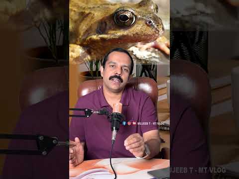 ചിലതൊക്കെ വെറും ഒരു തോന്നലാണ്. #prejudging #frog