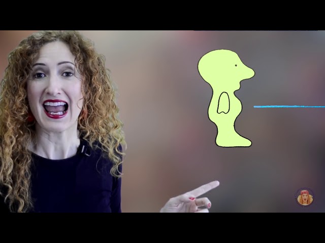 Vídeo relacionado con El sapo Sapón: Un cuento con la S (Castellano - A PARTIR DE 3 AÑOS - LIBROS DIDÁCTICOS - El tren de las palabras nº 25)