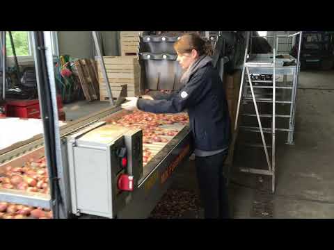 Zwiebel einlagern ohne entschloten mix Fördertechnik