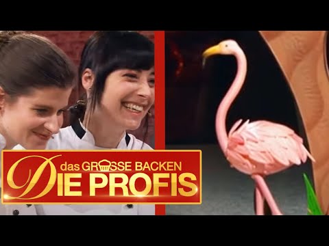 XXL-Schokoladenkuchen mit Pralinen: Welcher ist der Beste? | Das große Backen – Die Profis | SAT.1