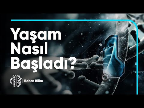 The Miracle of Life – How Did Life Begin on Earth?