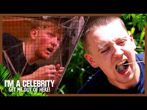 Aitch, Angry Ginge and Kelly Brook brave Camp Fright | I’m A Celebrity… Get Me Out of Here! 2025