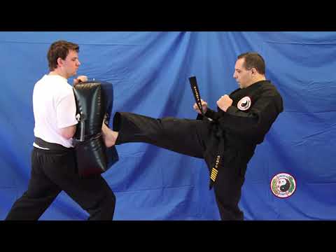 Kempo Karate - White Belt Kicks and Knees