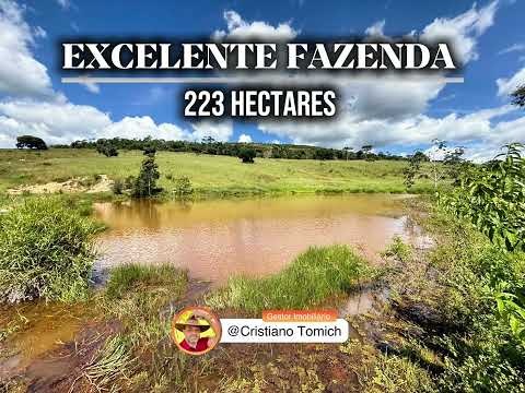 FAZENDA 223 HECTARES MONTE FORMOSO-MG R$ 2.3 MILHÕES 