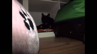 Juliane Werding - Hörst Du nicht mein Flüstern