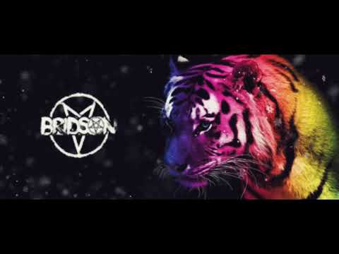 Bridson & Laurence C C(Over Now)