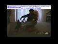 Americas Funniest Home Videos Funny Animal Compilation 1