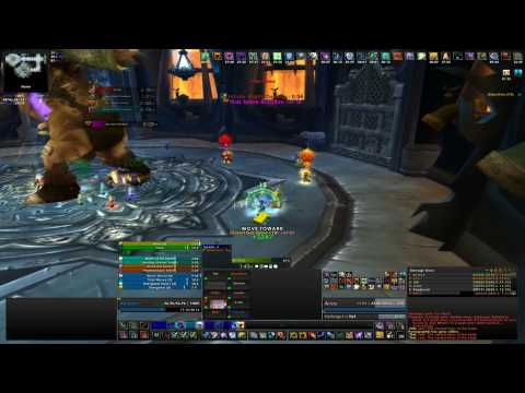 Afterlife, Stormrage-US - Festergut 10 Heroic