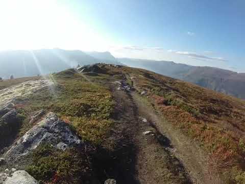 På sykkel ned frå Haugsvarden