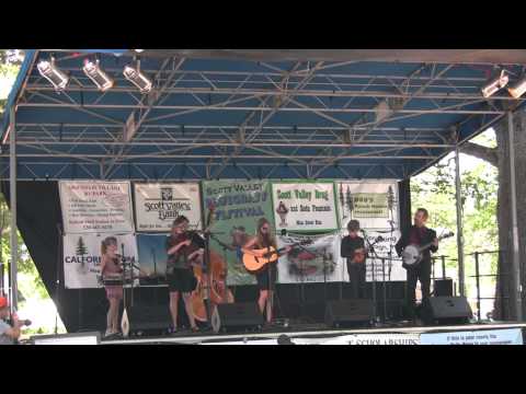 Anderson Family Bluegrass - "Shady Grove (Pretty Little Miss)"