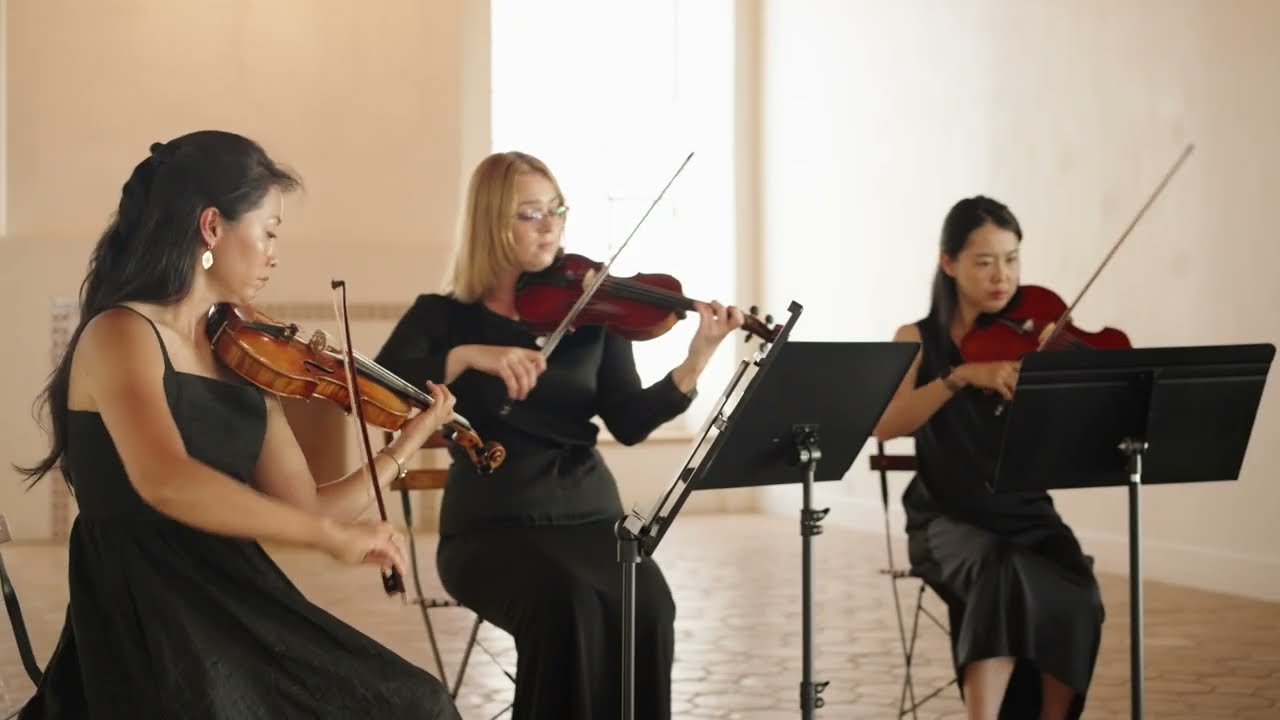 Joe Hisaishi: Merry-Go-Round of Life (Howl's Moving Castle). Project String Quartet
