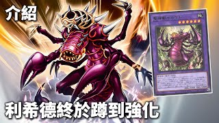 [ 遊戲王 ] 利希德強化，阿努比斯、阿波畢斯、賽爾肯特全都獲得新馬甲，甚至可以召喚翼神龍  Feat. @Tenwong_Games