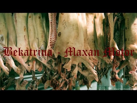 Bekatrina - Maxan Motor /VALORANT MONTAGE/