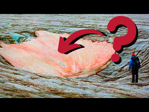 Perché questa NEVE è ROSSA?