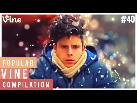 Popular Vine Compilation #40 [December 2014]