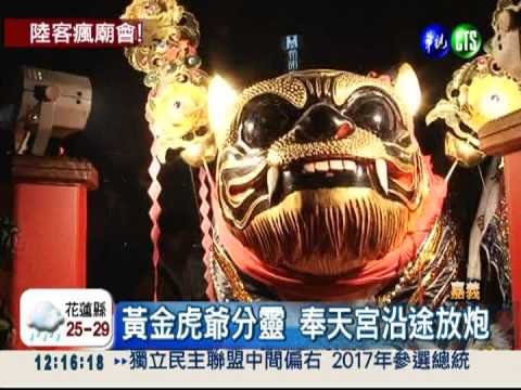 奉天宮虎爺出宮 陸客湊熱鬧!