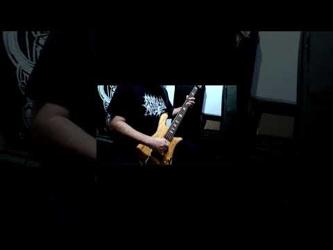 Symphonic gothic metal at its finest! Cradle of Filth "Lustmord And Wargasm" #shorts #basscover