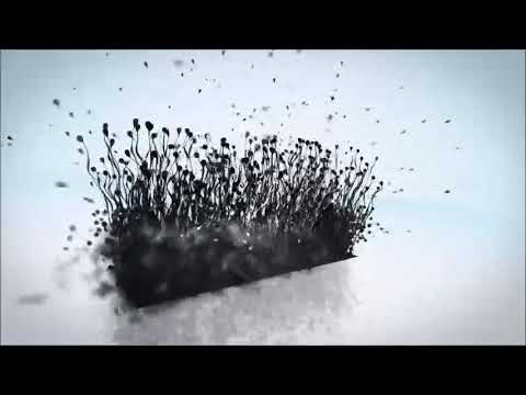 HD Security Limited video.