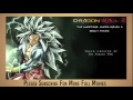 Dragon Ball Z - Unofficial Super Saiyan 3 Broly ...