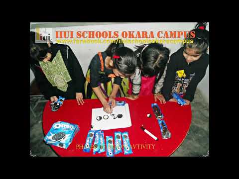 How to do Phases of moon activity wiht orio biscuit