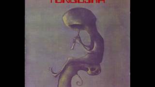 Tungüska - Signals