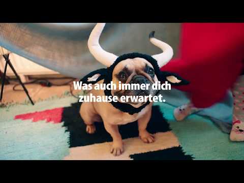 HVV | Was auch immer dich zuhause erwartet. Der Stier.
