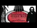 Only Good for Conversation - Sixto Diaz Rodriguez ...