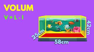 Perimetru. Arie. Volum.