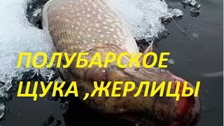 Ловля рыбы в полубарском
