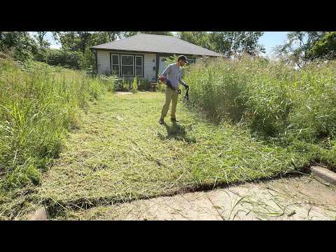 Neighbors STOP to take PICTURES of the grass TOWERING over this mysterious house