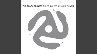 Let Me Share The Ride