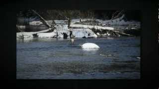 preview picture of video 'Wisconsin Early Trout Season | Hayward Fly Fishing Company | Namekagon River'