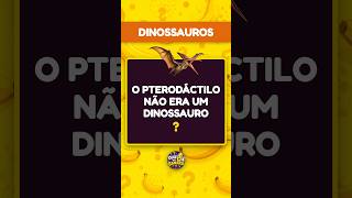 Capa de Dinossauros #02