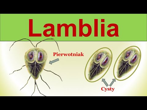 Lásd az emberi test parazitáit