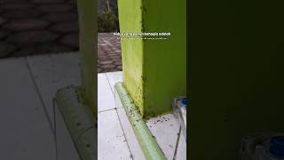 Download lagu Hidup yang penuh bahagia adalah.... #storywa #katakatabijak #katakatamotivasi mp3