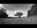 Nickleback How You Remind Me 1hour Version