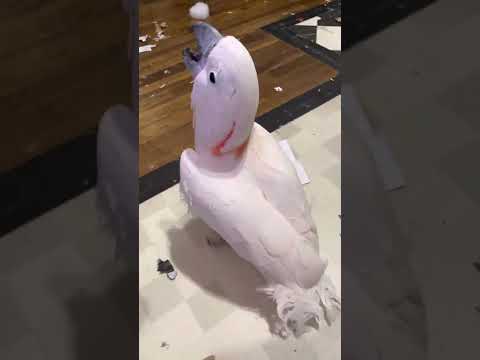 Misha bird made a mess like a toddler and talks to me like one - and then he plays fetch like a dog!